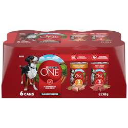 Purina ONE SmartBlend Classic Ground Dog Food Variety Pack with Chicken & Beef