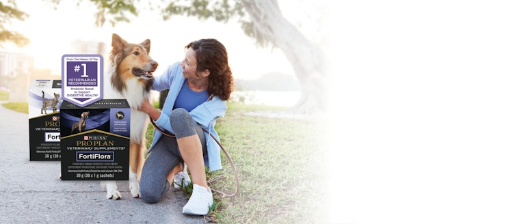 woman and dog