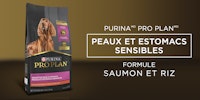 Pro Plan Peaux et Estomacs Sensibles Formule Saumon et Riz