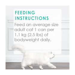 Feeding Recommendations