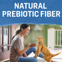 Natural prebiotic fiber