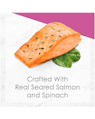 Crafted with real seared salmon and spinach