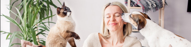 dog and cat playing with happy female owner