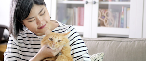 An orange cat cuddling its owner